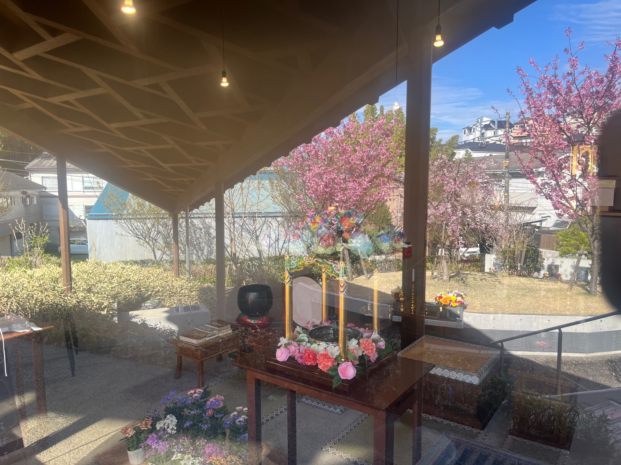 本覚寺令和7年花まつり４