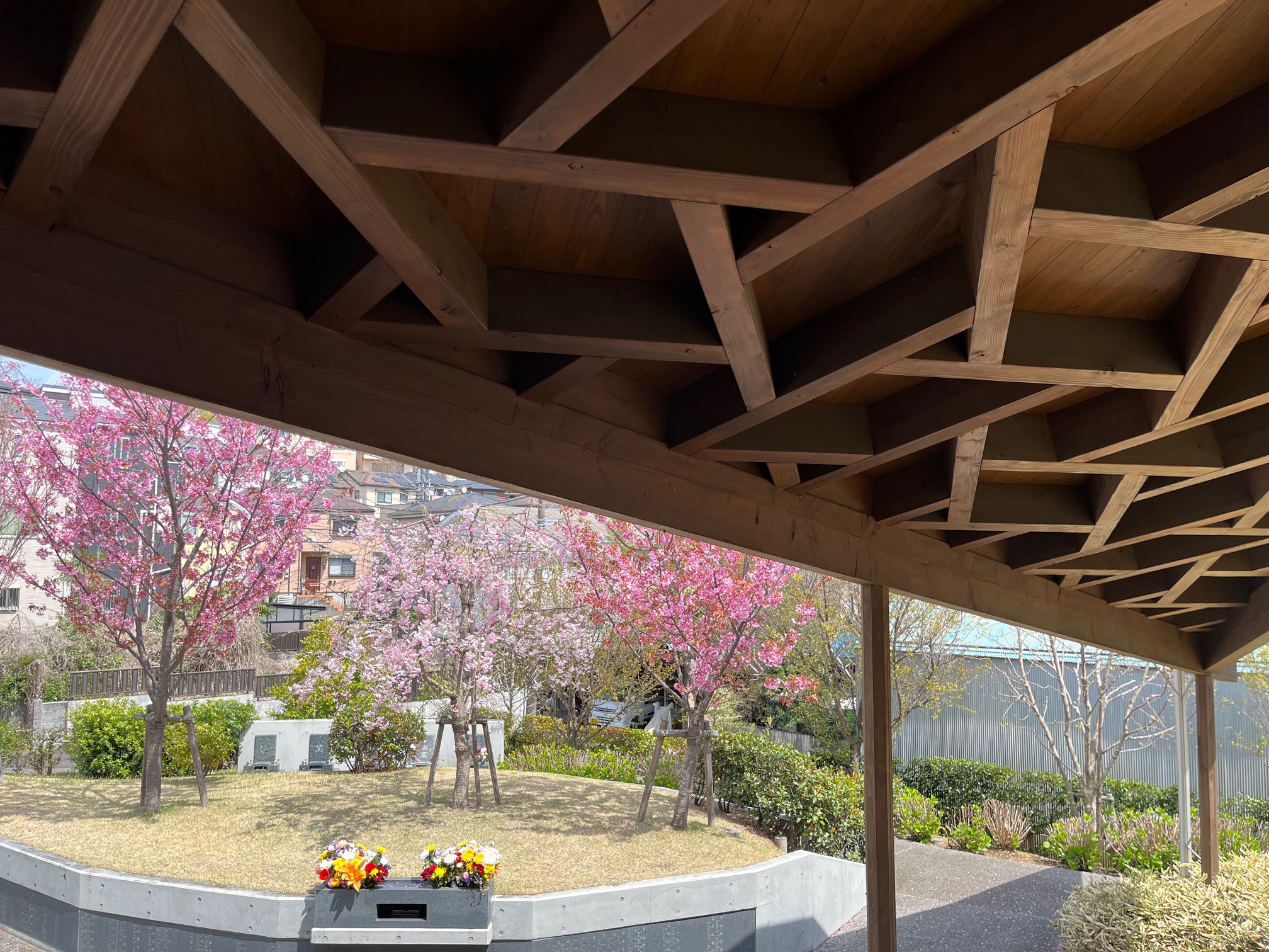 本覚寺令和7年花まつり３