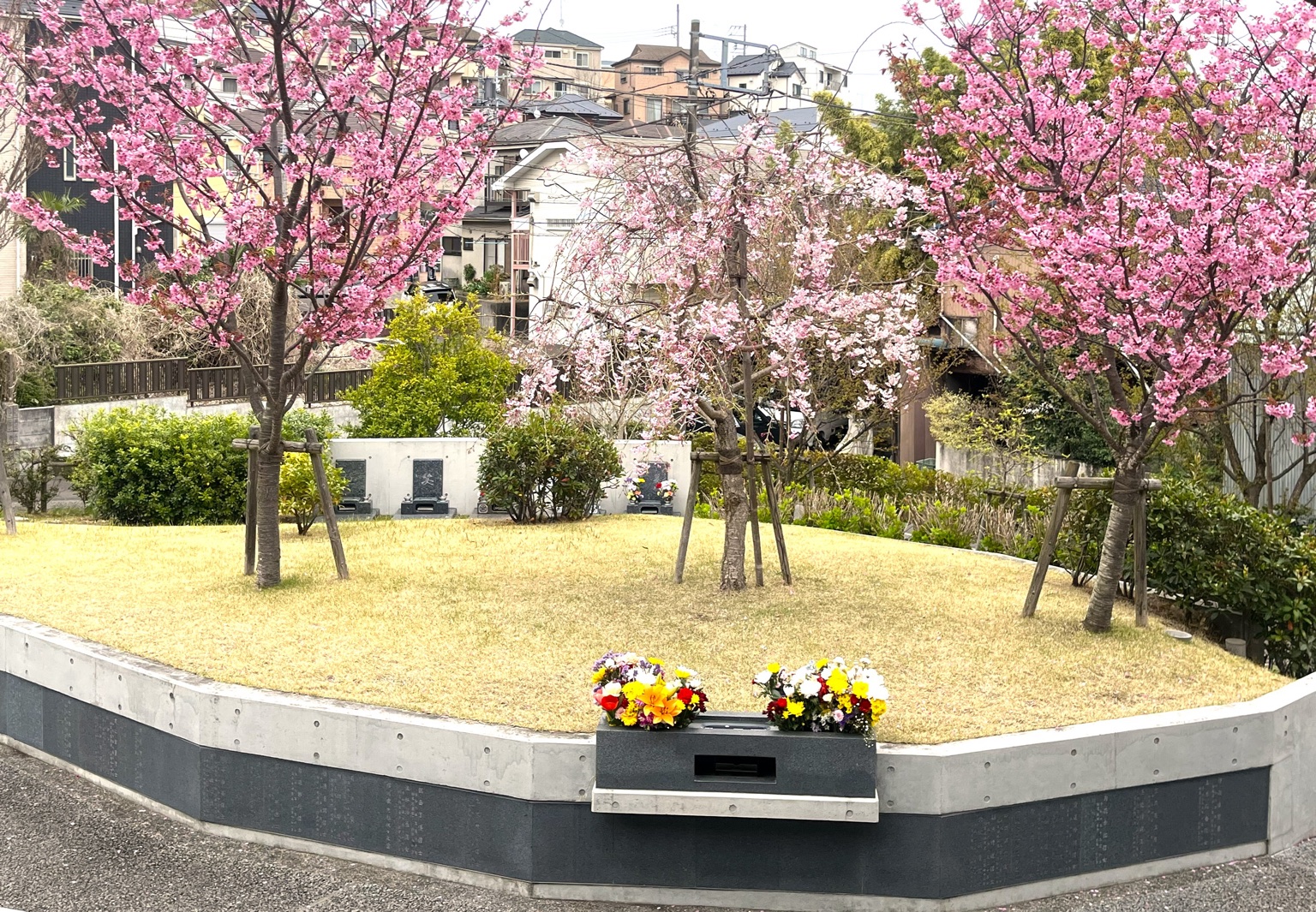 桜の墓